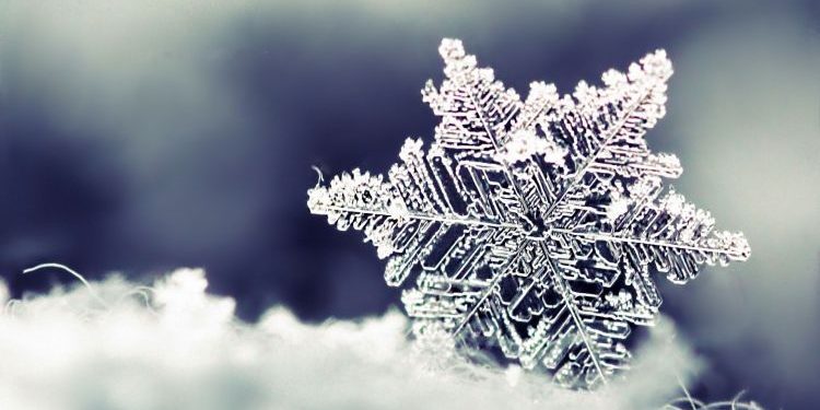 ACTIVITÉS HIVERNALES - Hôtel Musée Premières Nations